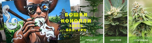 мяу мяу мука Балабаново