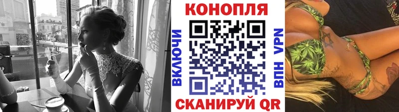 как найти   Купино  Канабис семена 